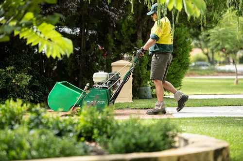 An image showing Jim's Mowing worker performing gardening services